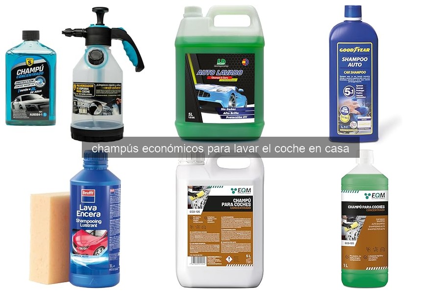 Comparativa de champús económicos para lavar el coche en casa