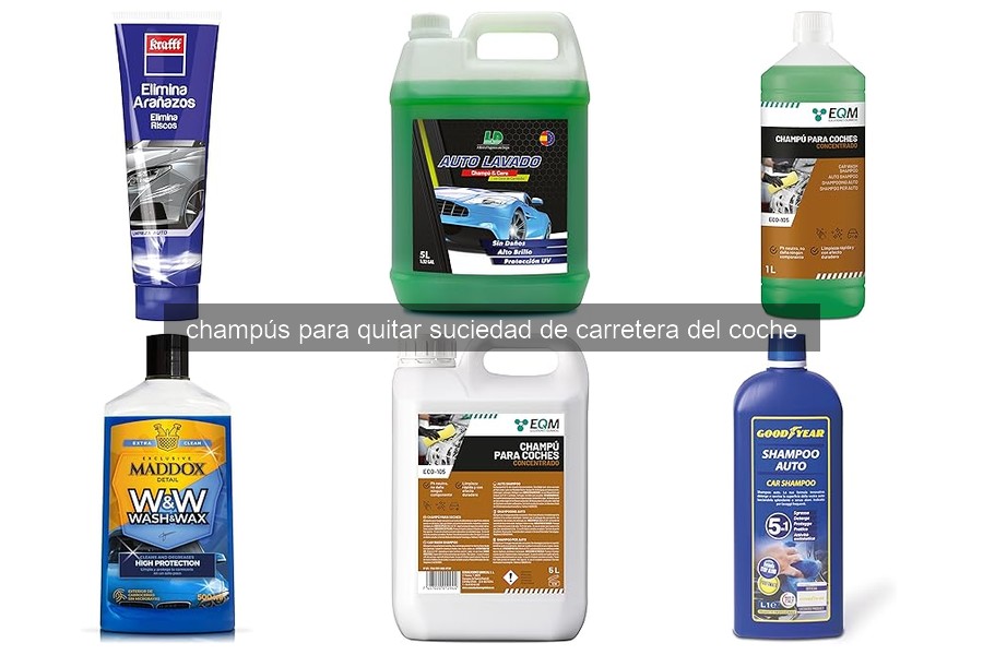 Comparativa de Champús para Suciedad de Carretera en 2026