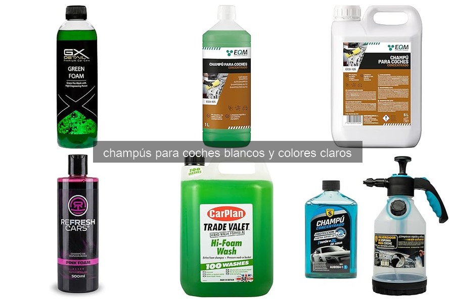 Guía de compra para champús de coches blancos en 2026