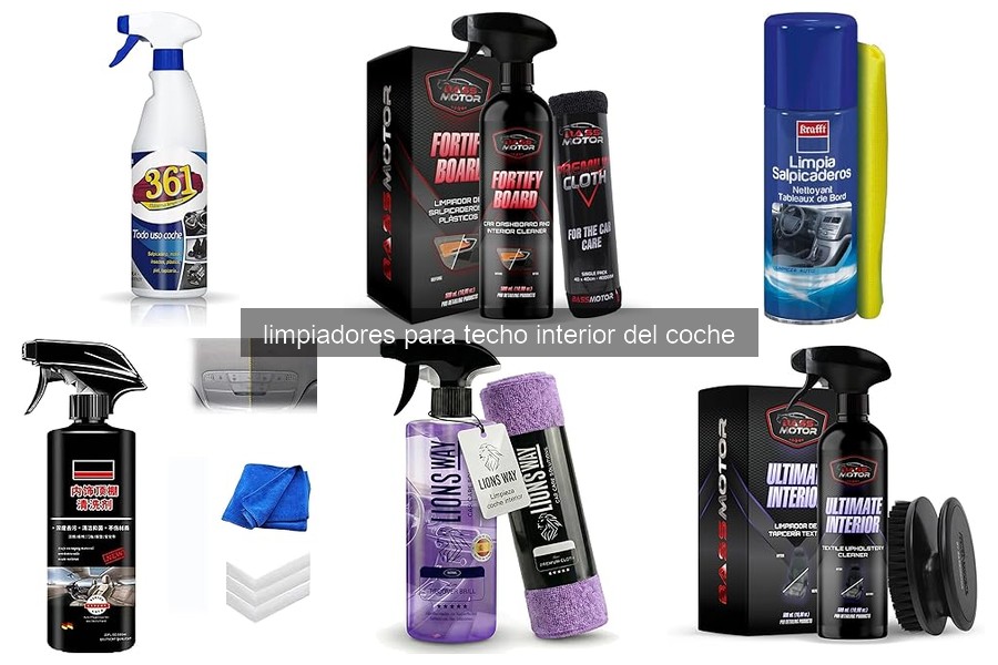 Mejores lugares y precios de limpiadores para techo interior