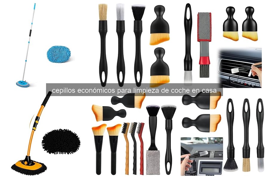 Soluciones a Problemas Comunes con Cepillos Económicos para Limpiar Coches